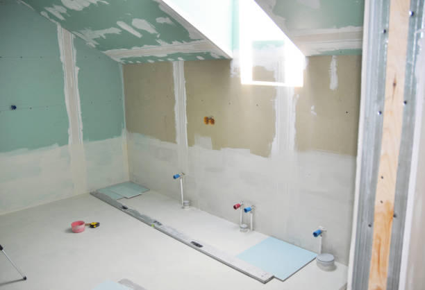 Trusted Thornton, CO Mold Removal Experts