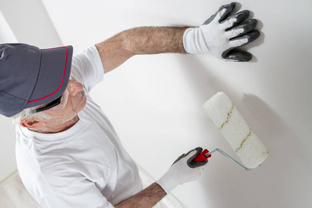 Best Comprehensive Air Testing for Mold Contaminants  in Thornton, CO