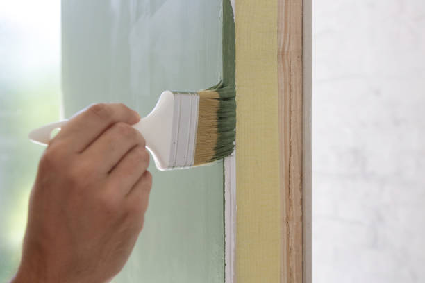Best Biohazard Mold Removal  in Thornton, CO