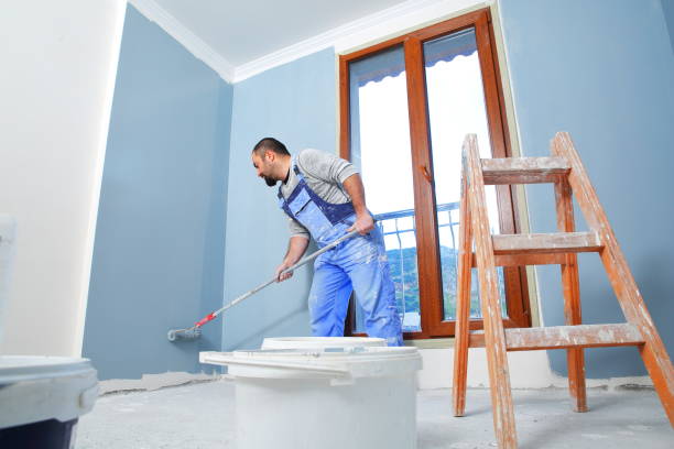 Best Black Mold Removal  in Thornton, CO