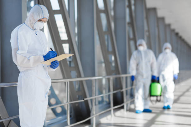 Best Basement Mold Removal  in Thornton, CO