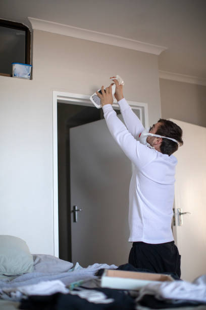 Best Environmental Consulting for Mold Prevention  in Thornton, CO