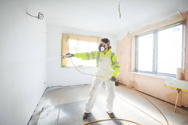Best Mold Documentation for Insurance Claims  in Thornton, CO