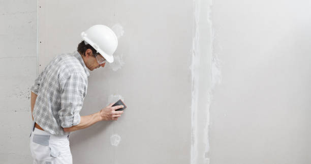Best Black Mold Removal  in Thornton, CO