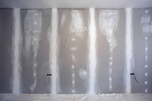 Best Mold Prevention Services  in Thornton, CO
